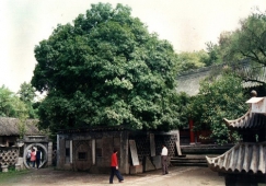 廣州到漢中物流專(zhuān)線，廣州到漢中貨運(yùn)公司