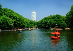 廣州到邵陽(yáng)物流專(zhuān)線,廣州到邵陽(yáng)貨運(yùn)公司